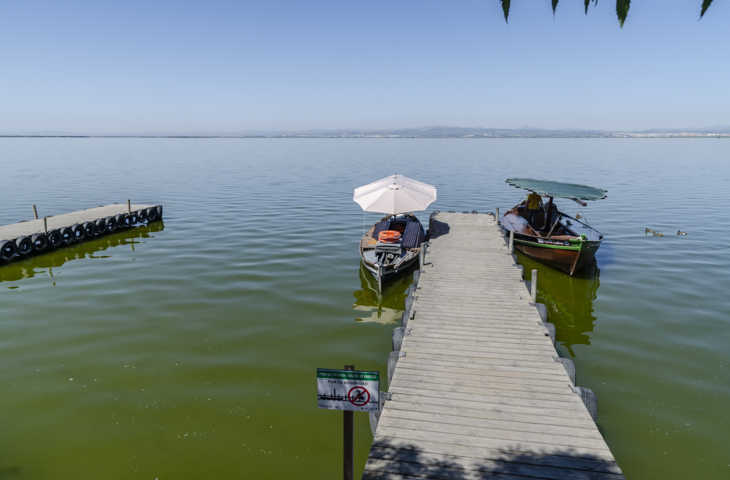 18 - Valencia - La Albufera